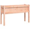 vidaXL Garden Planters 2 pcs with Legs Solid Wood Douglas