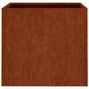vidaXL Planters 2 pcs 49x47x46 cm Corten Steel