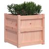 vidaXL Garden Planter 50x50x50 cm Solid Wood Douglas
