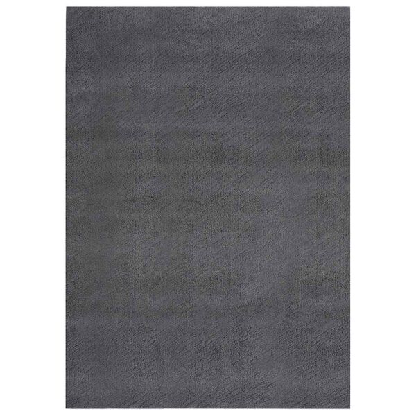 vidaXL Washable Rug Soft Shaggy Anthracite 160x230 cm Anti Slip