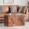vidaXL Stools/Coffee Table Solid Teak