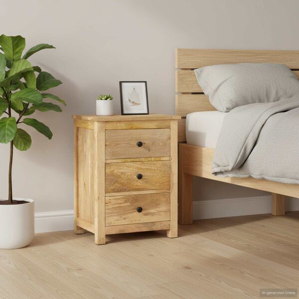 vidaXL Bedside Cabinet 45x35x60 cm Solid Mango Wood