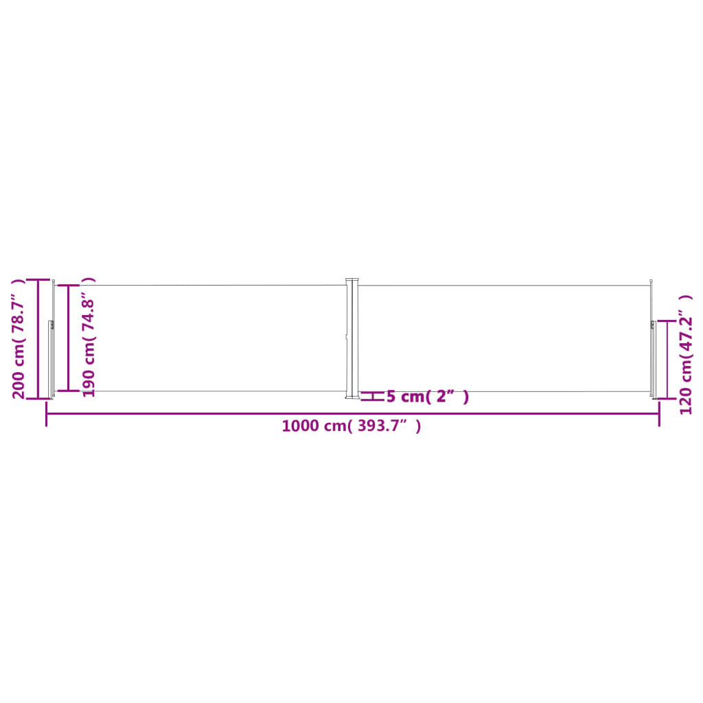 vidaXL Retractable Side Awning Anthracite 200x1000 cm