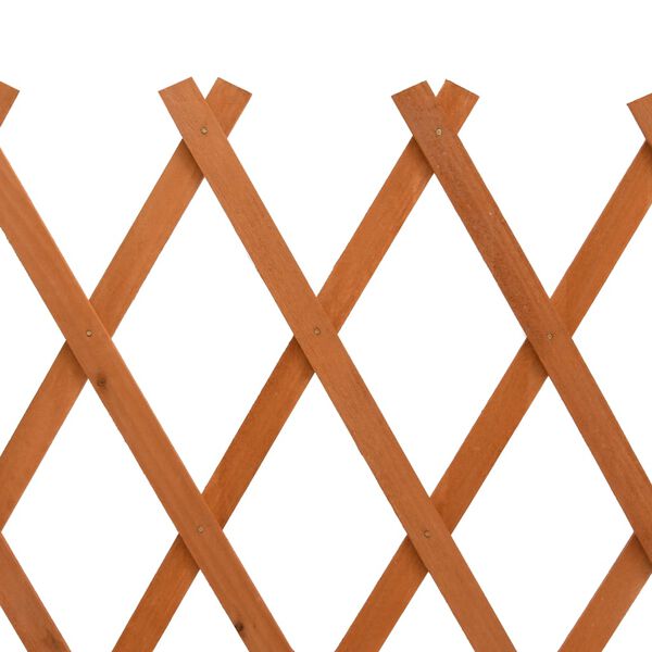 vidaXL Garden Trellis Fence Orange 120x60 cm Solid Firwood