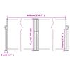 vidaXL Retractable Side Awning Anthracite 100x600 cm