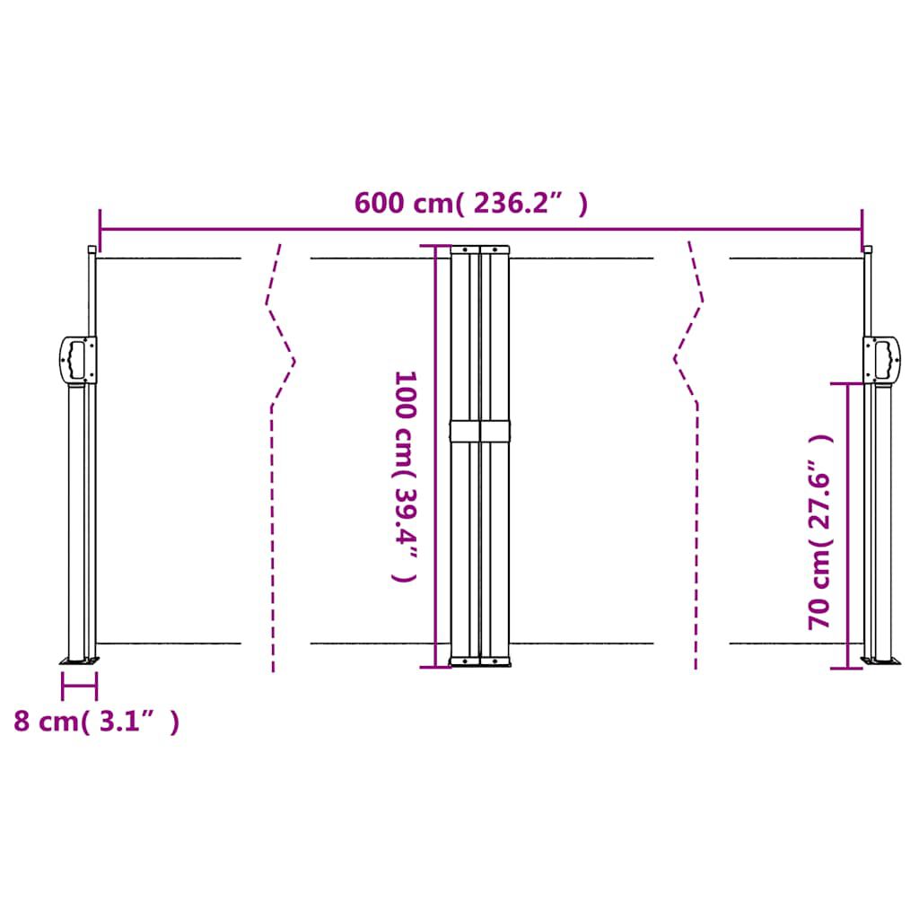 vidaXL Retractable Side Awning Anthracite 100x600 cm