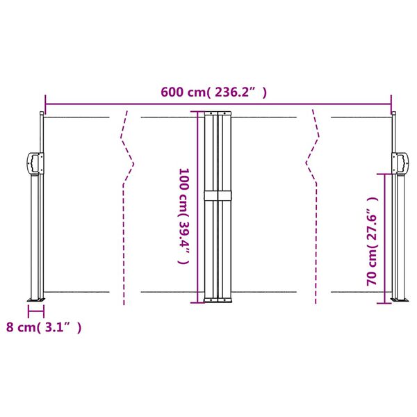 vidaXL Retractable Side Awning Anthracite 100x600 cm