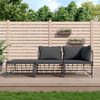 vidaXL 3 Piece Garden Lounge Set with Cushions Anthracite Poly Rattan