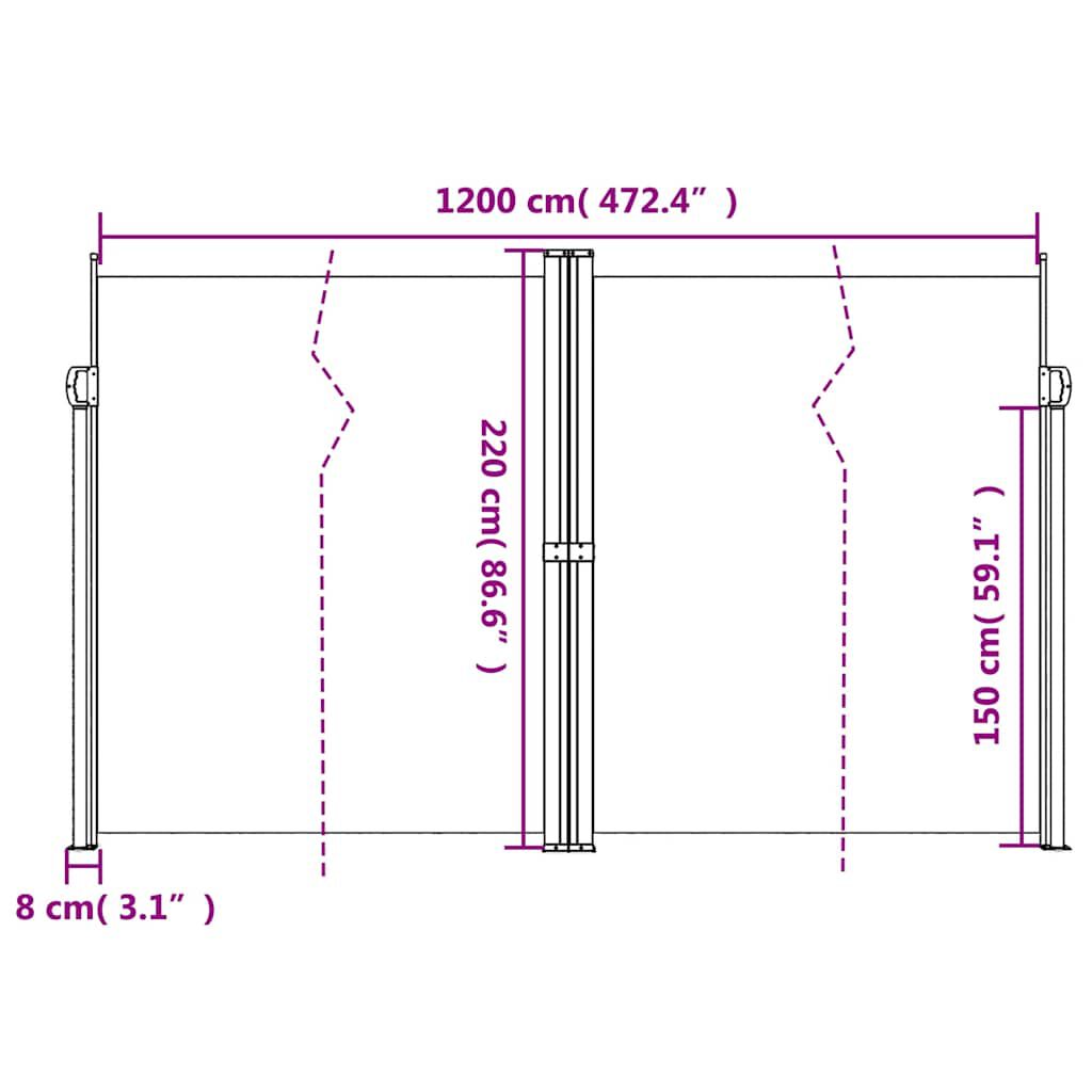 vidaXL Retractable Side Awning Anthracite 220x1200 cm