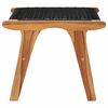 vidaXL Sun Lounger with Footrest Solid Teak Wood and Rope