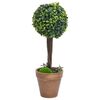 vidaXL Artificial Boxwood Plants 2 pcs with Pots Ball Shaped Green 33 cm