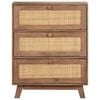 vidaXL Sideboard 61x35x76 cm Solid Mango Wood