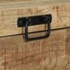 vidaXL Storage Chests Brown 60 x 30 x 30 cm Solid Mango wood