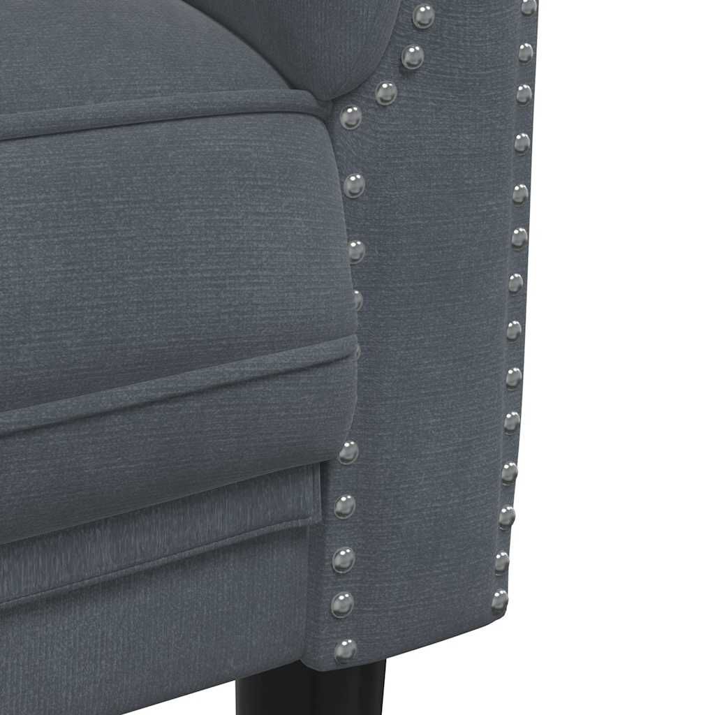 vidaXL Sofa 2-Seater Dark Grey Velvet
