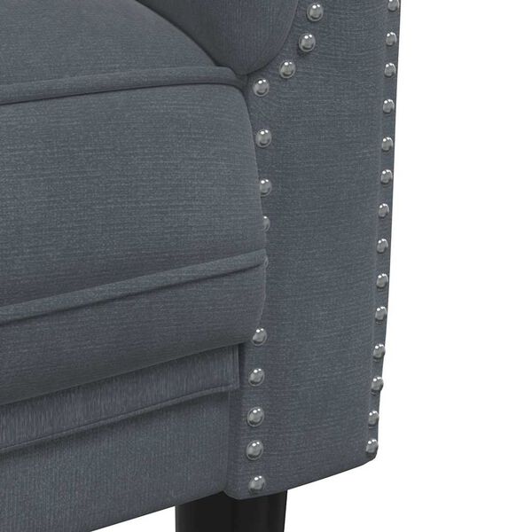 vidaXL Sofa 2-Seater Dark Grey Velvet
