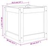 vidaXL Garden Planters 2 pcs Solid Wood Pine