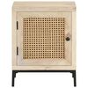 vidaXL Bedside Cabinet 40x30x50 cm Solid Mango Wood and Natural Cane