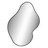 vidaXL Wall Mirror Black 60x50 cm