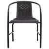 vidaXL Garden Chairs 2 pcs Plastic Rattan and Steel 110 kg