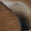 vidaXL Bench Goatskin Leather Teak