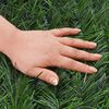 vidaXL Artificial Grass Fence Green 1x10 m