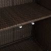 vidaXL Storage Cabinet with Storage Brown 100 x 36 x 102 cm Rattan