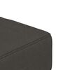 vidaXL 2-Seater Sofa Bed with Two Pillows Dark Grey Velvet