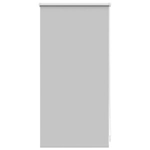 vidaXL Roller Blind Blackout 40 x 100 cm Grey