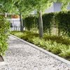 vidaXL Lawn Edgings 30 pcs White 100 x 0.5 x 15 cm Steel