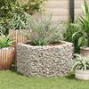 vidaXL Hexagonal Gabion Raised Bed 100x90x50 cm