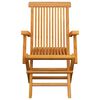vidaXL Garden Chairs with Taupe Cushions 3 pcs Solid Teak Wood