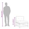 vidaXL 3 Piece Garden Lounge Set with Cushions White Solid Pinewood