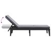 vidaXL Sun Lounger with Cushion Anthracite 186x60x29 cm PP