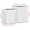 vidaXL Laundry Baskets 2 pcs Water Hyacinth