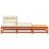 vidaXL Garden Sofa Armless with Cushions and Footstools