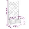 vidaXL Planter with Trellis Black Solid Wood Fir