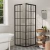 vidaXL Shower Cabin ESG 80x80x180 cm