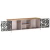 vidaXL TV Cabinet 120x30x40 cm Rough Mango Wood