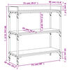 vidaXL Console Table with Shelves Black 75x30x80 cm