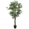 vidaXL Artificial Ficus Tree 1260 Leaves 200 cm Green