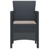 vidaXL Garden Chair 2 pcs Anthracite 53 x 49 x 85 cm PP