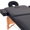 vidaXL 2-Zone Folding Massage Table 10 cm Thick Black