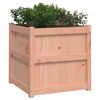 vidaXL Garden Planters 2 pcs Solid Wood Douglas