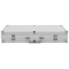 vidaXL Gun Case Aluminium ABS Silver