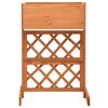 vidaXL Garden Trellis Planter Orange 45x30x74 cm Solid Firwood
