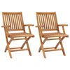 vidaXL Folding Garden Chairs 2 pcs Solid Teak Wood