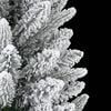 Product Thumbnail Image 4 of 8