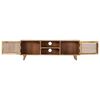 vidaXL TV Cabinet 120x30x40 cm Solid Mango Wood