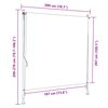 vidaXL Outdoor Roller Blind 200x270 cm Anthracite