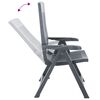 vidaXL Garden Reclining Chairs 2 pcs Plastic Anthracite